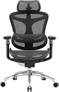 Ergonomic Office Chair with 6D Armrests