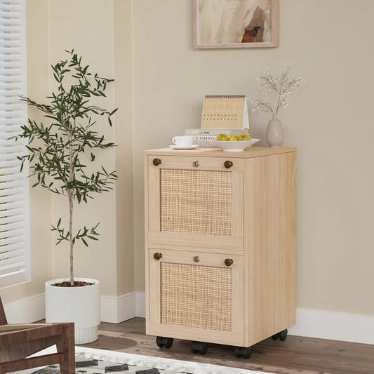 2 Drawer File Cabinet with Lock