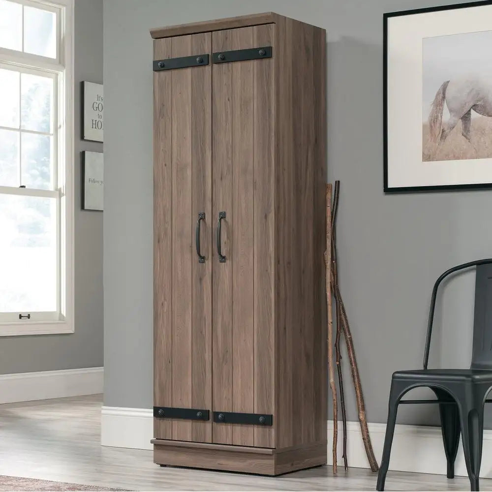 2-Door Barn Door Storage Cabinet