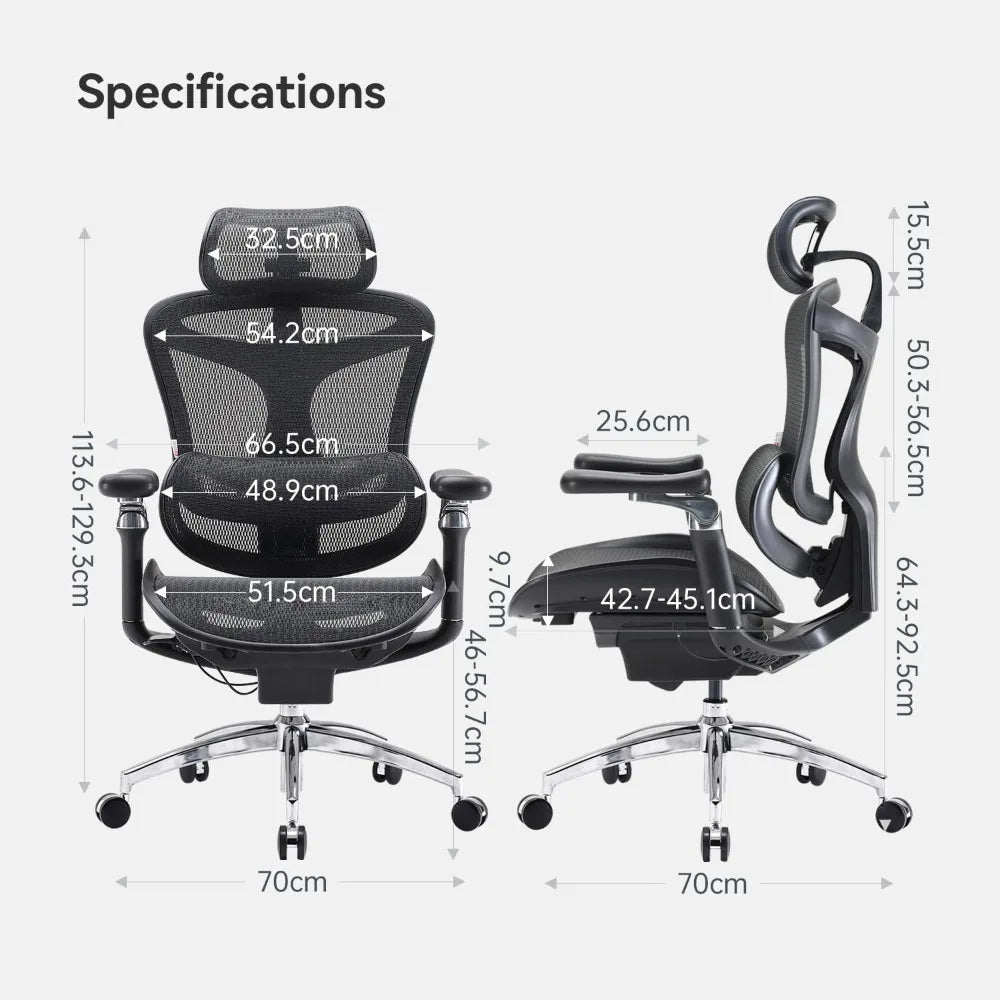 Ergonomic Office Chair with 6D Armrests