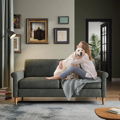 Comfy Small Couch,