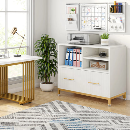 Lateral File Cabinet with Drawer