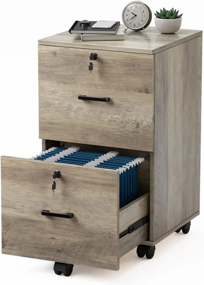 2 Drawer File Cabinet with Lock