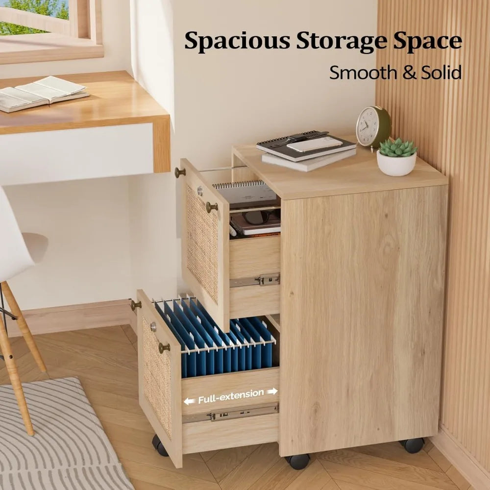 2 Drawer File Cabinet with Lock