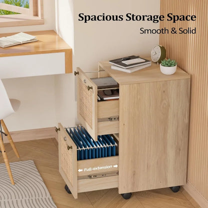 2 Drawer File Cabinet with Lock