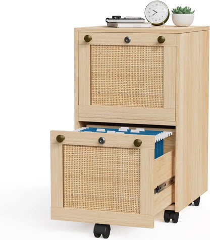 2 Drawer File Cabinet with Lock