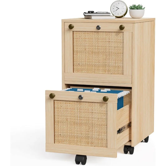 2 Drawer File Cabinet with Lock