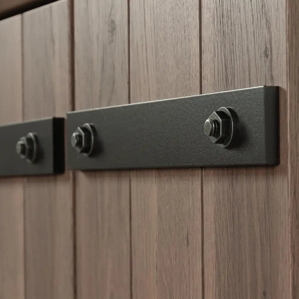 2-Door Barn Door Storage Cabinet